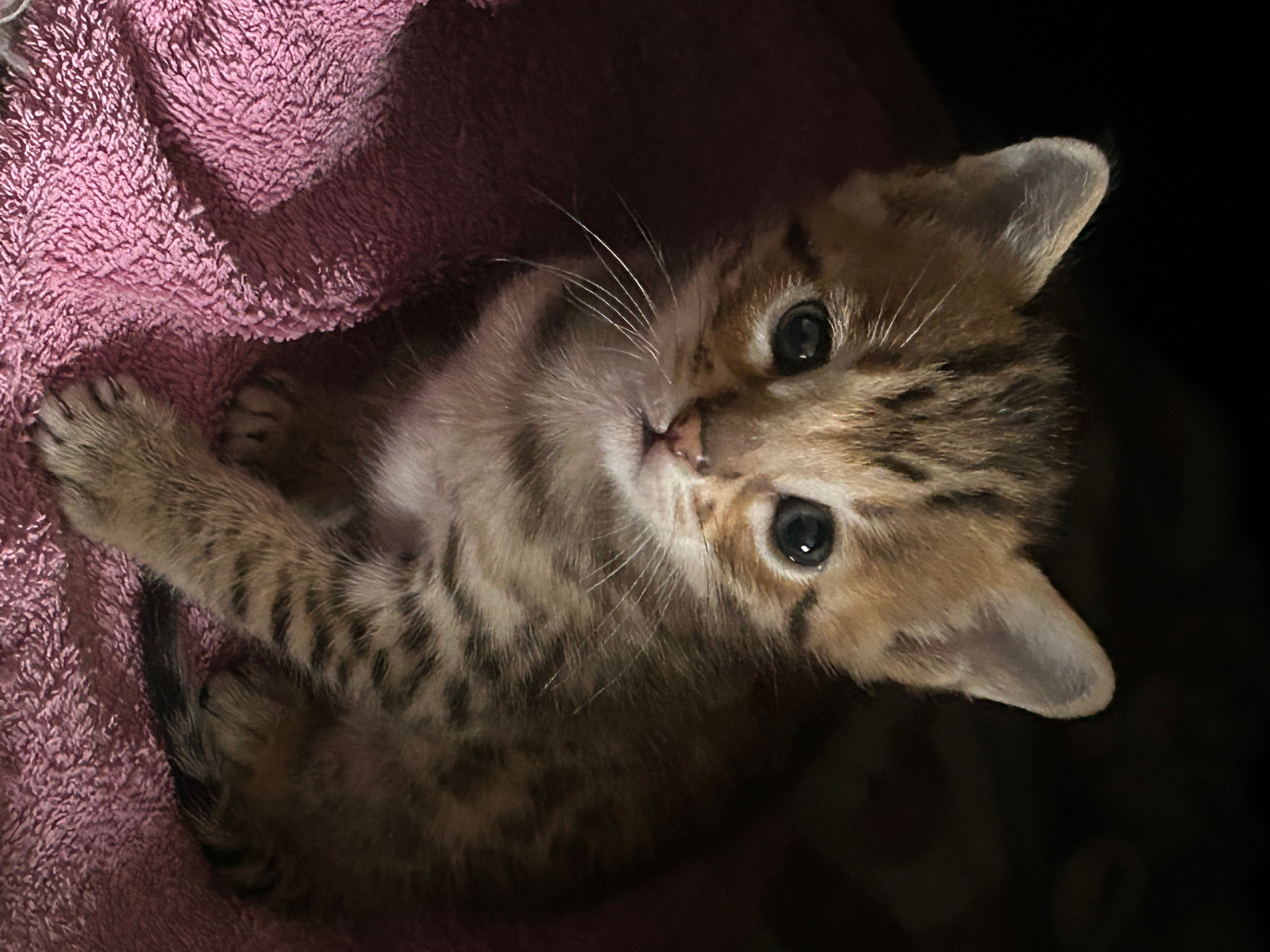 2024 03 09 17.15.281